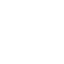 Sentinel reversed logo