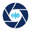Voice standard logo